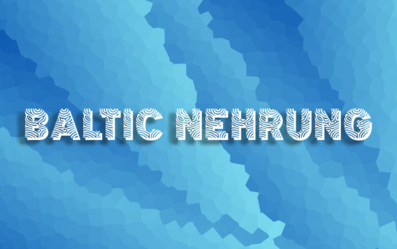 Baltic Nehrung: A Decorative Font with Character and Versatility