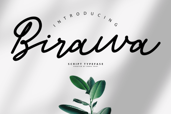 Birawa: A Playful Script Font for Creative Projects