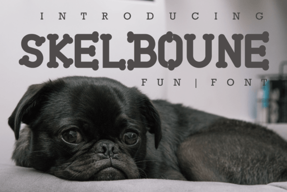 Skelboune: A Playful Serif Font for Modern Creative Projects